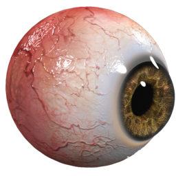 Eye Sticker